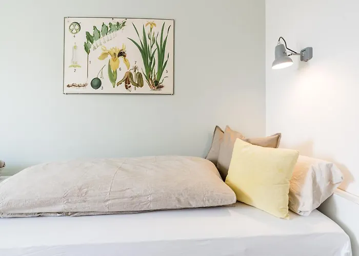 Nordlys - Local & Style * Westerland